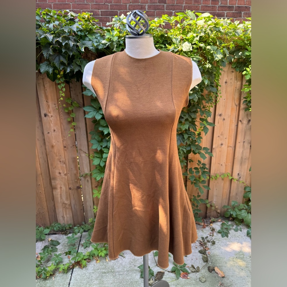 Zara Brown Mini Dress